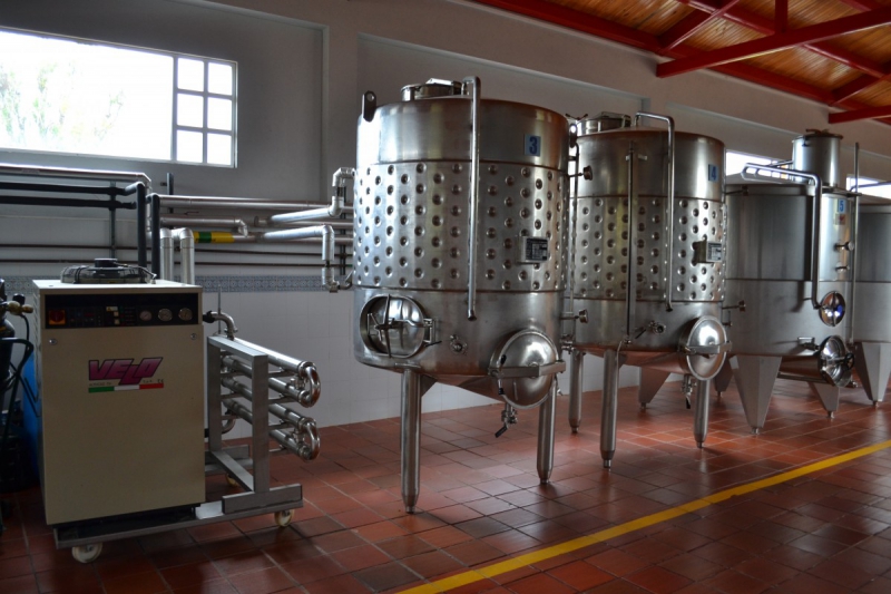 cave-PONTEVES-min_wine_production_cantine_winery_drink_alcohol_vine_beverage-902036